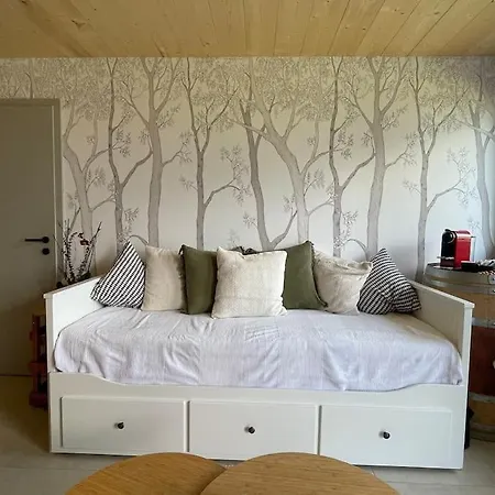 Апартаменты 2,5 Pieces Neuf Avec Terrasse *